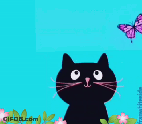 Good Morning Card With Black Cat And Butterfly GIF