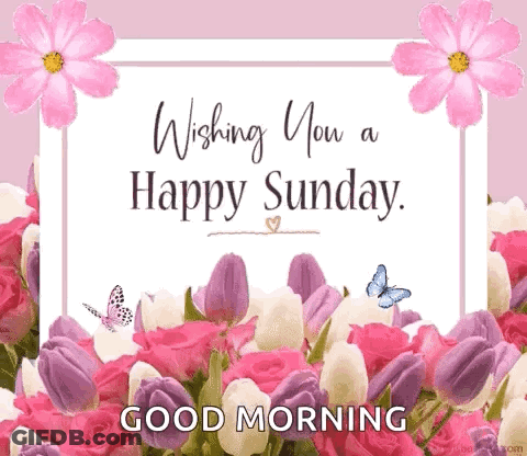 Good Morning Card With Flowers And Butterflies GIF