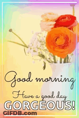 Good Morning Card With Flowers And Have A Good Day Gorgeous GIF