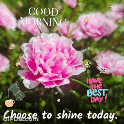 Good Morning Card With Pink Flower Choose To Shine Today GIF