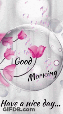 Good Morning Card With Pink Flowers And Bubbles GIF