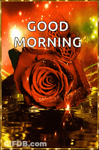 Good Morning Card With Red Rose And Butterfly GIF