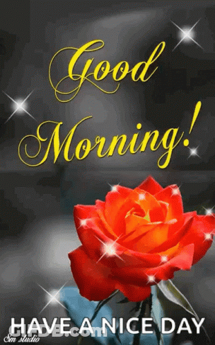 Good Morning Card With Red Rose GIF