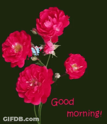 Good Morning Card With Red Roses And Blue Flowers GIF