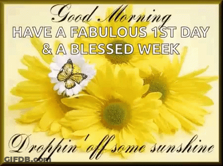 Good Morning Card With Yellow Daisies And Butterfly GIF