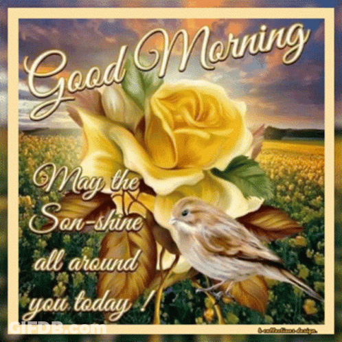 Good Morning Card With Yellow Rose And Bird GIF