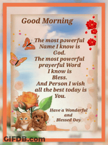 Good Morning Cat And Puppy GIF