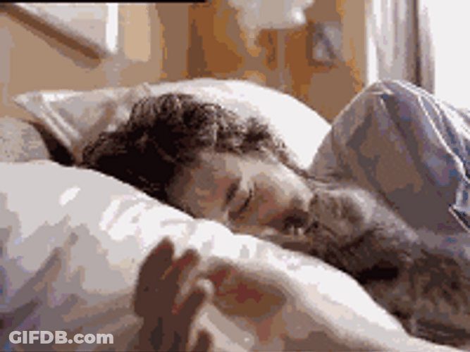 Good Morning Cat Cuddling Owner GIF