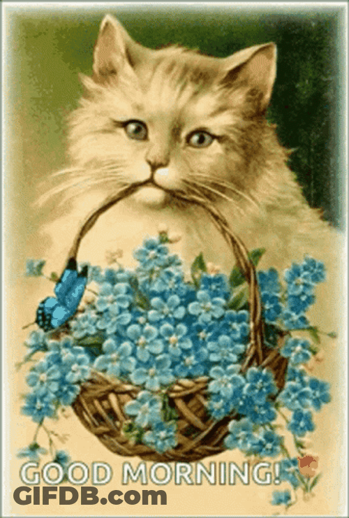 Good Morning Cat Flower Basket GIF
