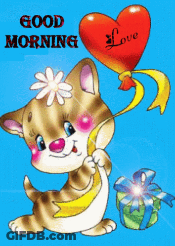 Good Morning Cat GIF