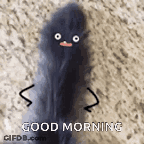 Good Morning Cat Wag Tail GIF