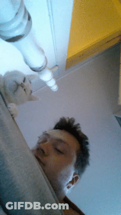 Good Morning Cat With Guy GIF