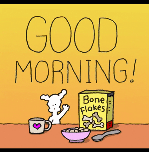 Good Morning Chippy The Dog GIF