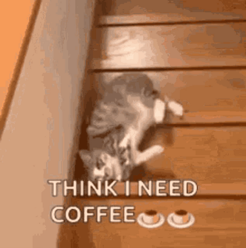 Good Morning Coffee Cat GIF