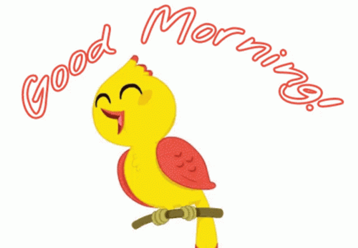 Good Morning Cute Bird Singing GIF