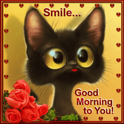 Good Morning Cute Black Cat GIF