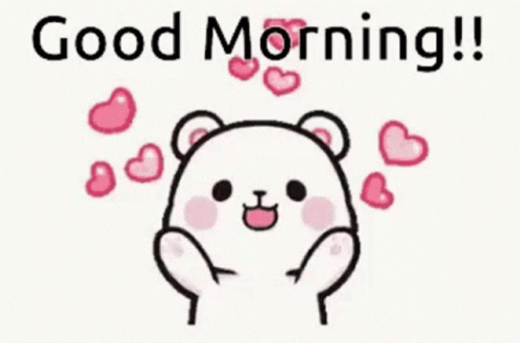 Good Morning Cute Excited Bear GIF