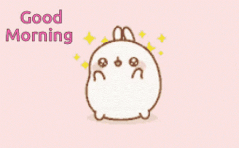 Good Morning Cute Mochi Bunny GIF