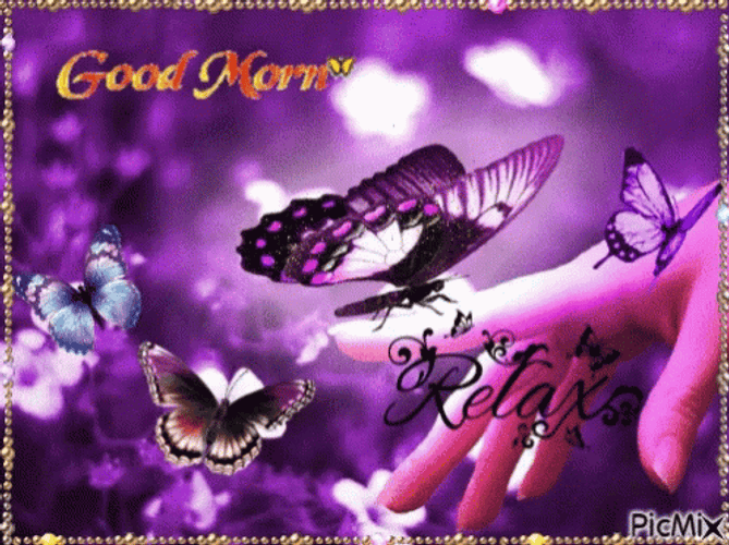 Good Morning Cute Purple Butterflies GIF