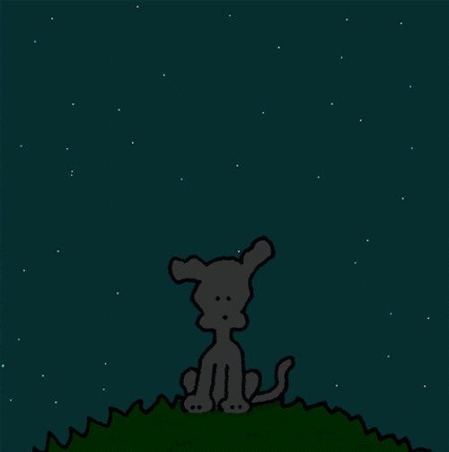 Good Morning Darling Chippy Sunrise GIF
