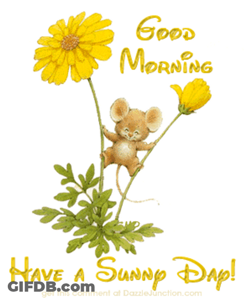Good Morning Darling Rise And Shine GIF