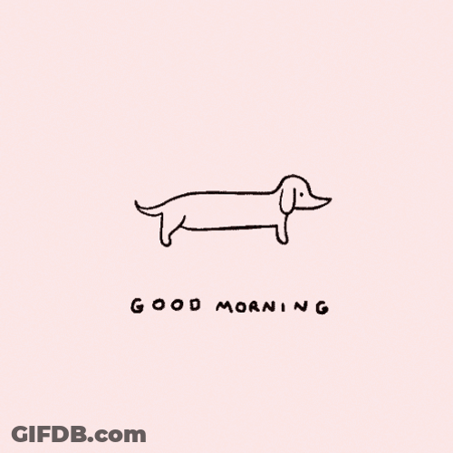 Good Morning Darling Weiner Dog Stretching GIF