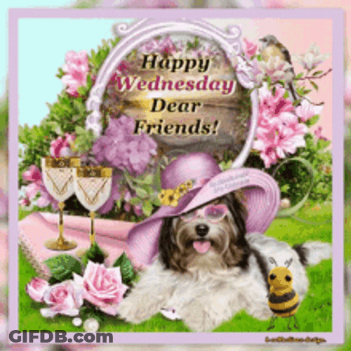 Good Morning Dear Friends Happy Wednesday Puppy GIF