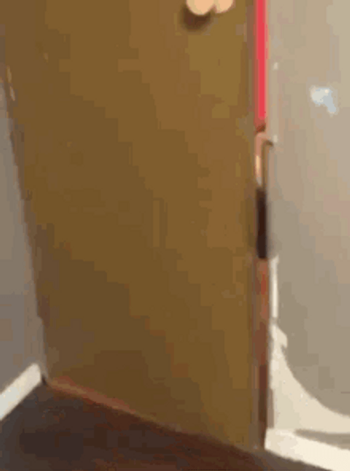 Good Morning Dog Black Husky GIF