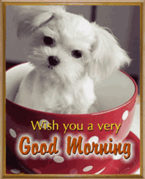 Good Morning Dog In Cup Greeting GIF