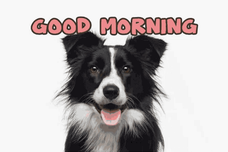 Good Morning Dog Moving Ears GIF