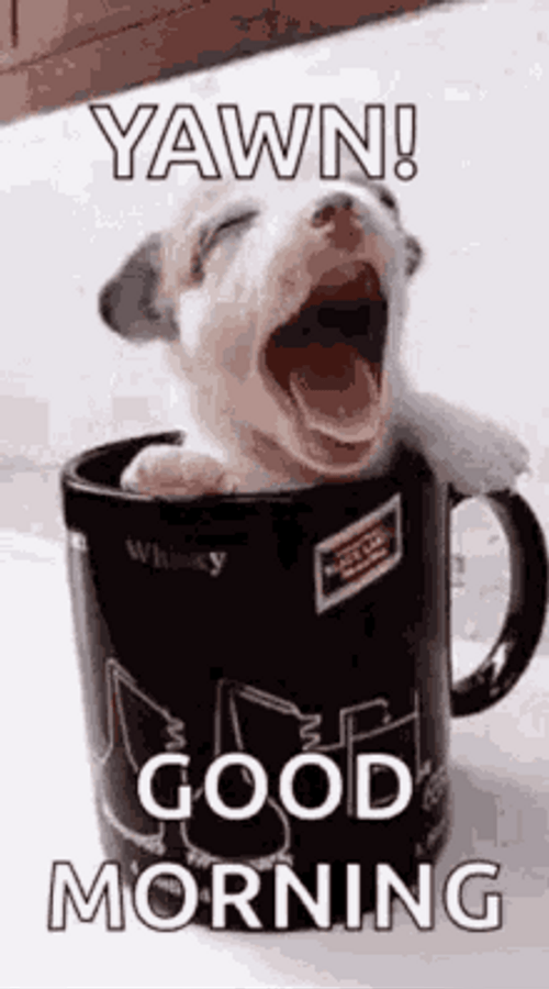Good Morning Dog Puppy Yawn GIF