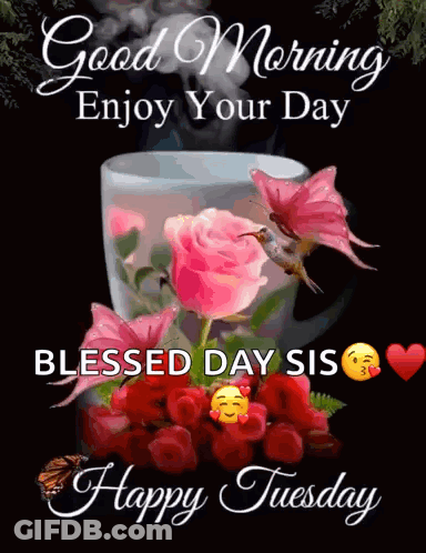 Good Morning Enjoy Your Day Pink Roses GIF