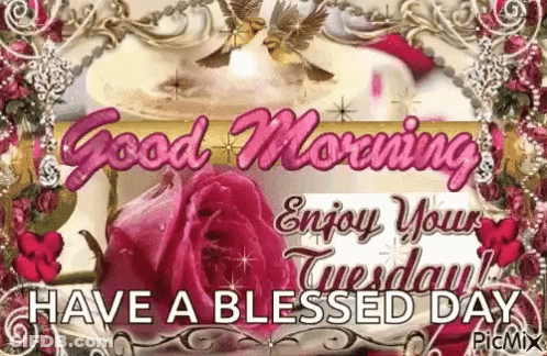 Good Morning Enjoy Your Tuesday GIF