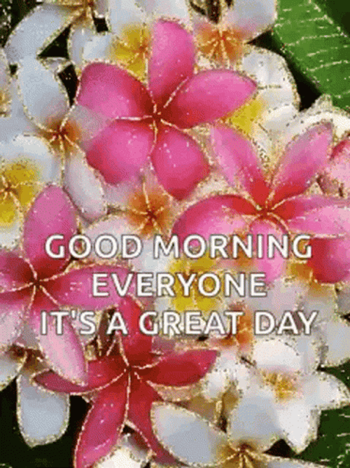 Good Morning Everyone It's A Great Day GIF