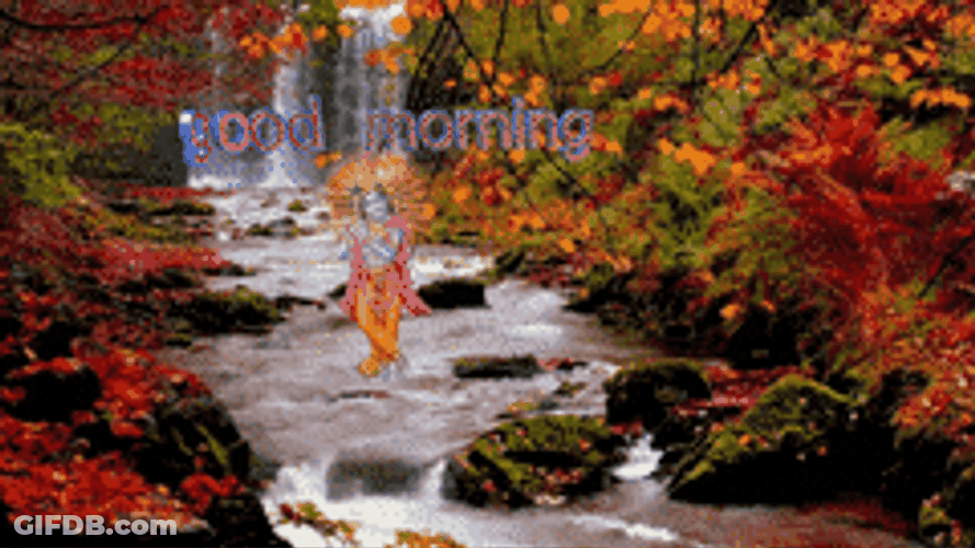 Good Morning Fall Peaceful Water Stream GIF