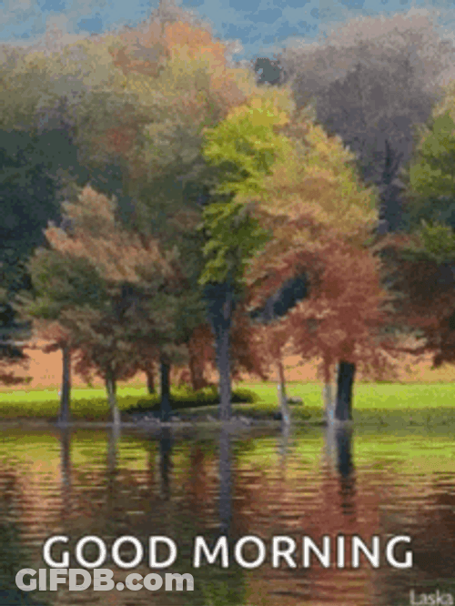 Good Morning Fall Serene Nature Backdrop GIF
