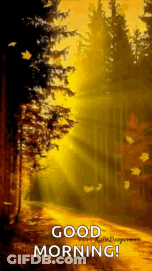 Good Morning Fall While Sun Shines GIF