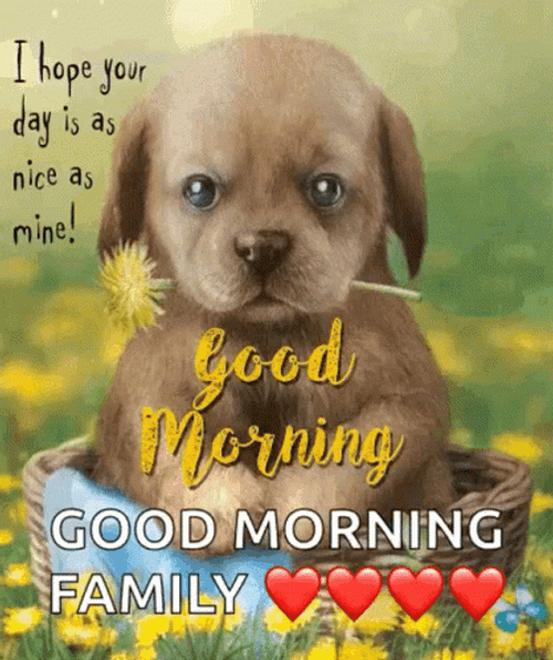 Good Morning Family Puppies Love GIF