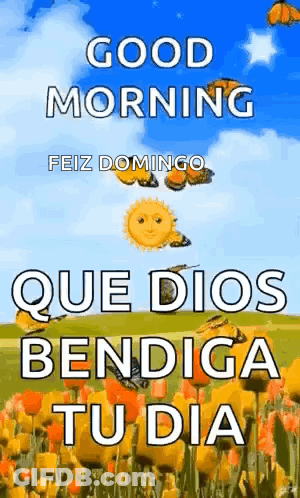 Good Morning Feliz Domingo GIF