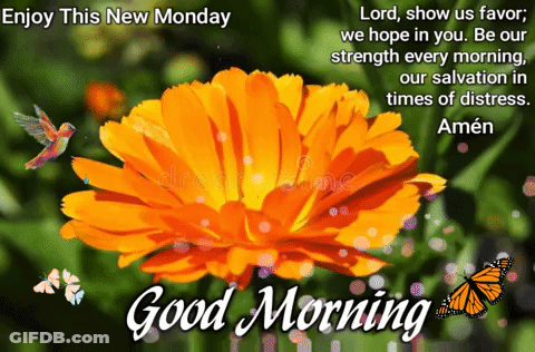 Good Morning Flower And Butterfly GIF