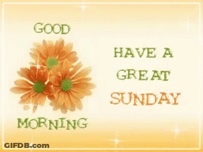 Good Morning Flower Card Have A Great Sunday GIF