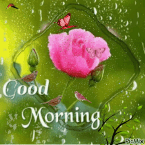 Good Morning Flower With Butterflies And Dewy Glass GIF
