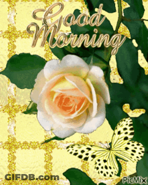 Good Morning Flower With Checkered Background And Butterfly GIF