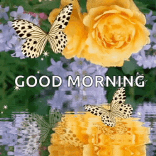 Good Morning Flowers And Butterfly With Reflection GIF