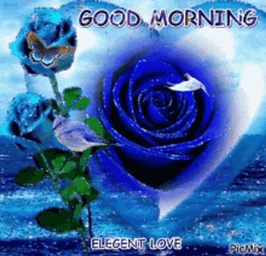 Good Morning Flowers Blue Roses And Heart GIF