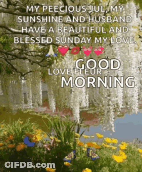 Good Morning Flowers By The River Enchanting Scenery GIF