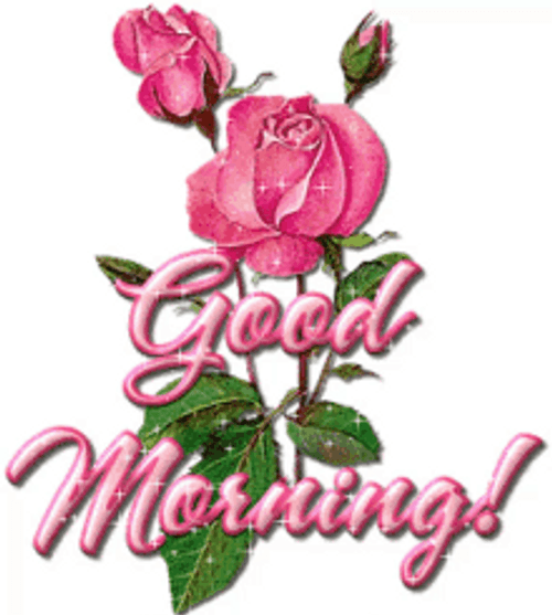Good Morning Flowers Glittering Pink Roses With Stem GIF