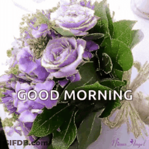 Good Morning Flowers Purple Roses With Leaves GIF