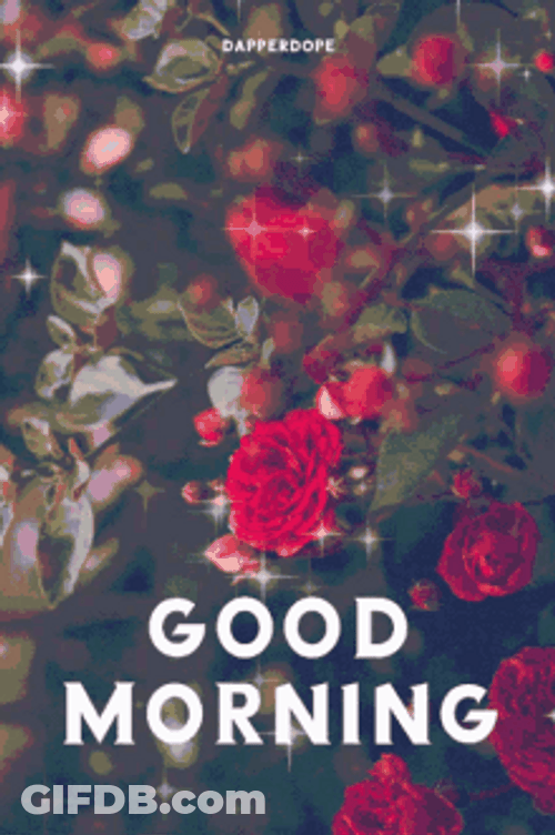 Good Morning Flowers Sparkling Rose Bush GIF