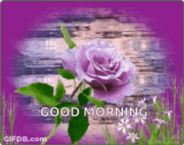 Good Morning Flowers With Water As Background GIF
